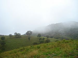 Barranca De Oblatos Facts For Kids