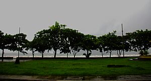 Baybay Boulevard during Typhoon Kalmaegi (Tino)