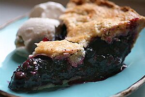 Best Blueberry Pie with Foolproof Pie Dough