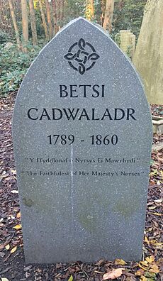 Betsi Cadwaladr, grave