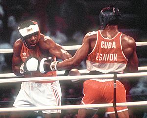 Boxing at the 1987 Pan American Games