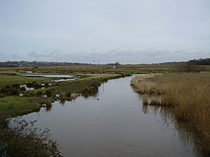Brading Marshes, IW, UK
