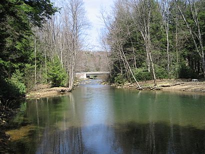 Brown Springs, Moshannon State Forest