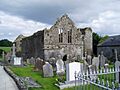 Buttevant-Abbey