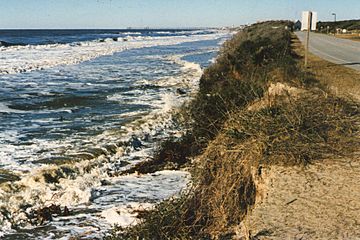 Caswell Beach–1998