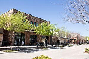 Central Roanoke Historic District1 (1 of 1)