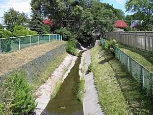 Channelized Taylor-Massey Creek