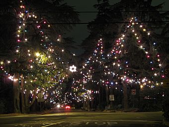 Christmas Tree Lane.jpg