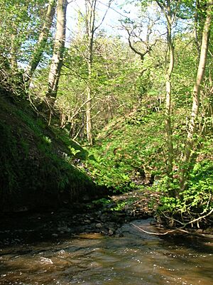 Cowlinnburn