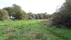 Cranham Marsh 1