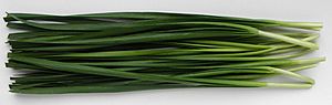 Cut Garlic Chives.jpg