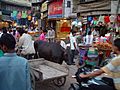 Delhi main bazaar
