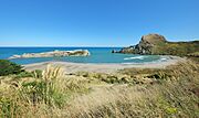 Deliverance Cove and Castle Rock at Castlepoint