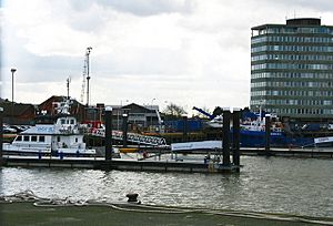 Dong at the Fishdock (geograph 3895947)