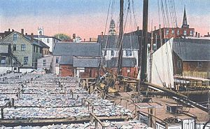 Drying Fish, Gloucester, MA