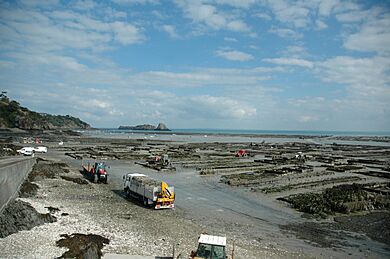 France Oyster Harvest bordercropped