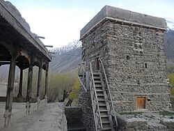 Gahkuch Fort.jpg