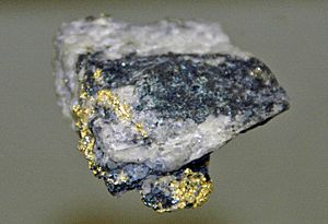 Gold-bornite-quartz hydrothermal vein (Field's Vein, Dahlonega Mining District, Dahlonega Gold Belt, Lumpkin County, Georgia, USA) (16537558623)