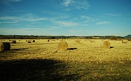 Hay-bales-tellico-plains-tn1