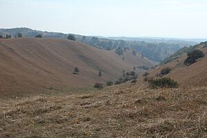 Hills of Deliblatska pescara, Serbia