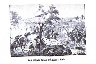 III.3 Muerte del General Pardiñas en la acción de Maella.jpg