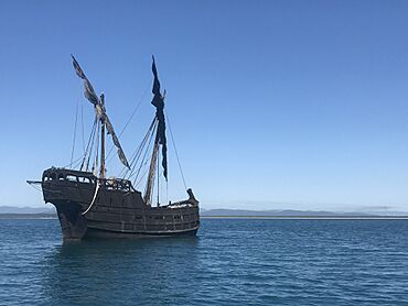 IMG 1177Notorious anchored near Hutchison Island (FNQ) October 2017 2.jpg