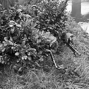 Infantry of the 2nd Battalion, South Wales Borderers hide themselves in a laurel bush during a brigade exercise near Ballymena in Northern Ireland, 19 September 1941. H14064