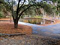 Irvine Regional Park in December