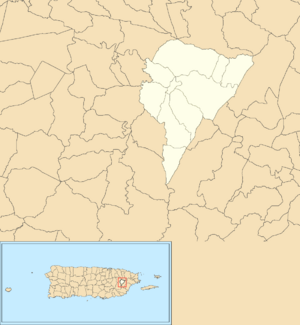 Juncos, Puerto Rico locator map