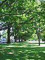 Kenton Park (Portland, Oregon)
