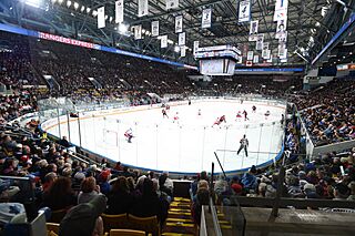 Kitchener Rangers Arena.jpg