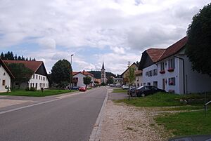 Lajoux 085