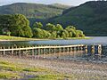 Landing stage, Scarness Bay, Bassenthwaite - geograph.org.uk - 366978