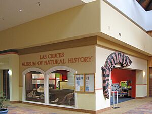 Las Cruces New Mexico Museum of Natural History