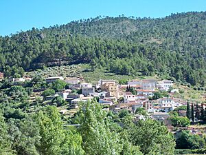 Localidad de La Alfera (Molinicos)