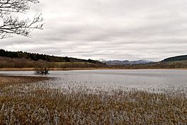 A lake, with reeds in the shallows, and mountains in the distance