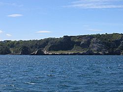 Long Quarry Point, Babbacombe - geograph.org.uk - 8388.jpg