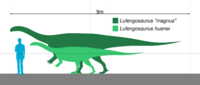 Lufengosaurus scale.svg
