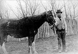 Malacara horse and John Daniel Evans (1906) retouched