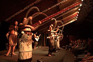Maori poi demonstration