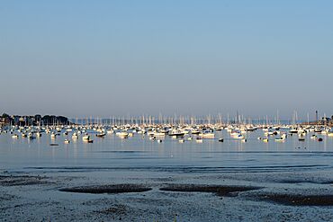 Marblehead Harbor Late Afternoon