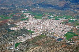 Aerial view of Marmolejo
