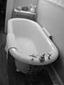 Nineteenth century bathtub grayscale