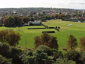 Old Deer Park sports grounds, view south from Kew Gardens pagoda - geograph.org.uk - 226902