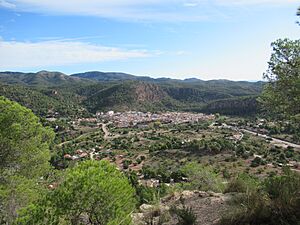 The view of Olocau