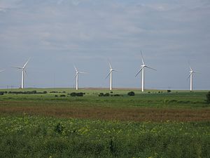 Out Newton Wind Farm