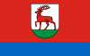 Flag of Rzepin