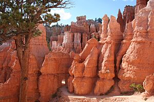 Queens Garden Trail at Bryce
