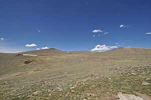 RMNP ForestCanyonTundra