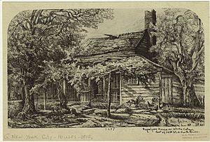 Rapelyea House or White Cottage New York City1 1870